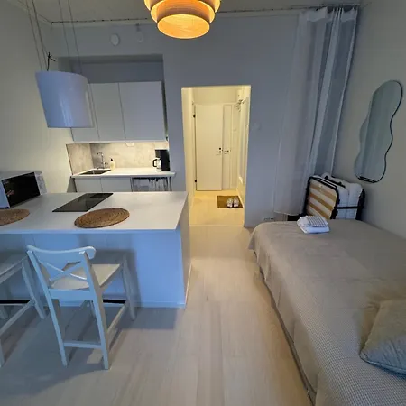 Bright Renovated In Appartement